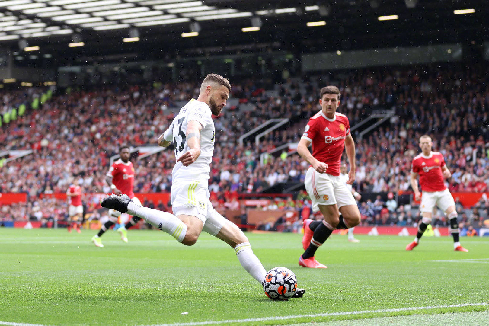 他的顽强和 他的顽强和